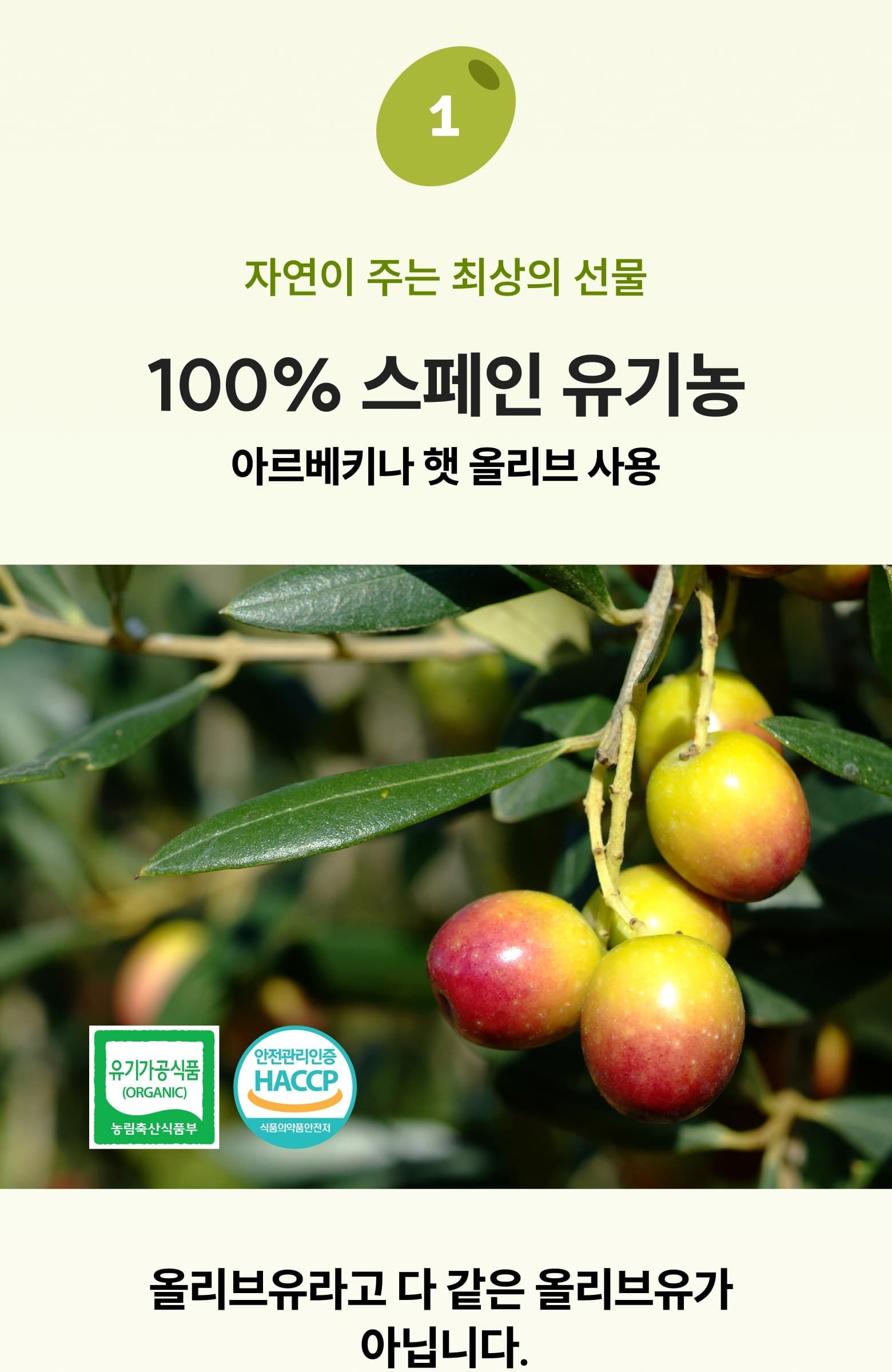 레몬 올레샷 상세 8