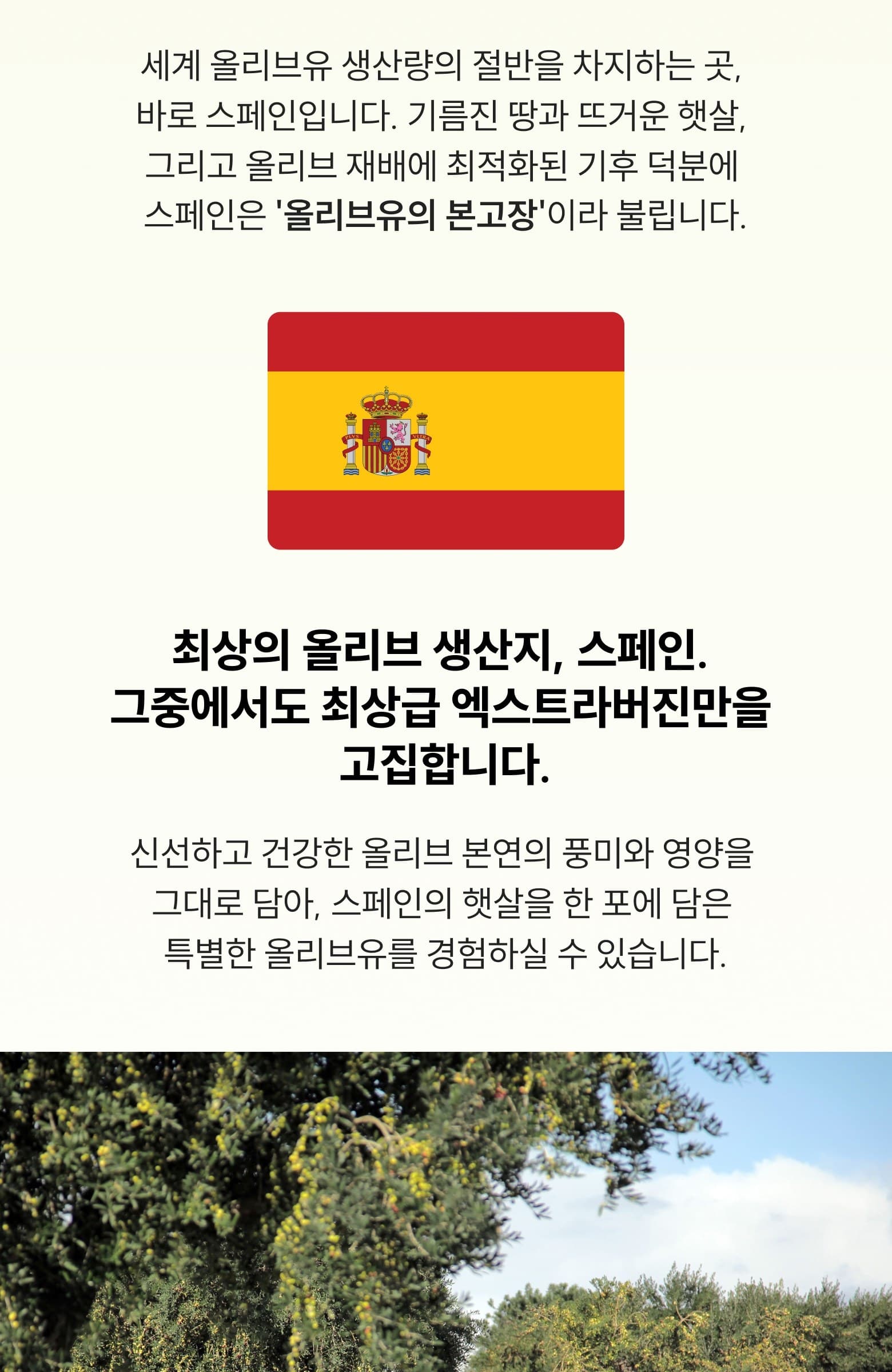 레몬 올레샷 상세 9