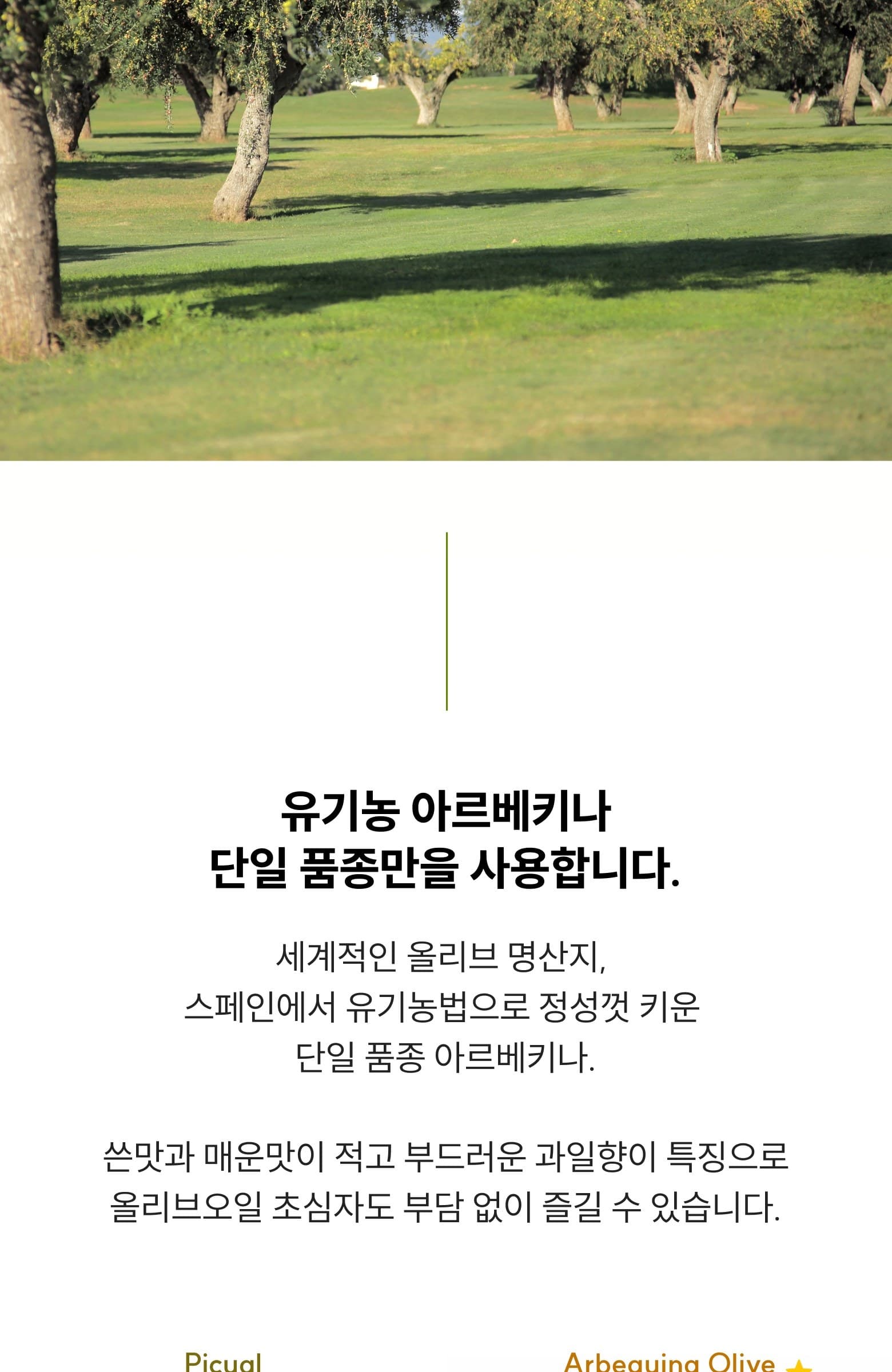 레몬 올레샷 상세 10