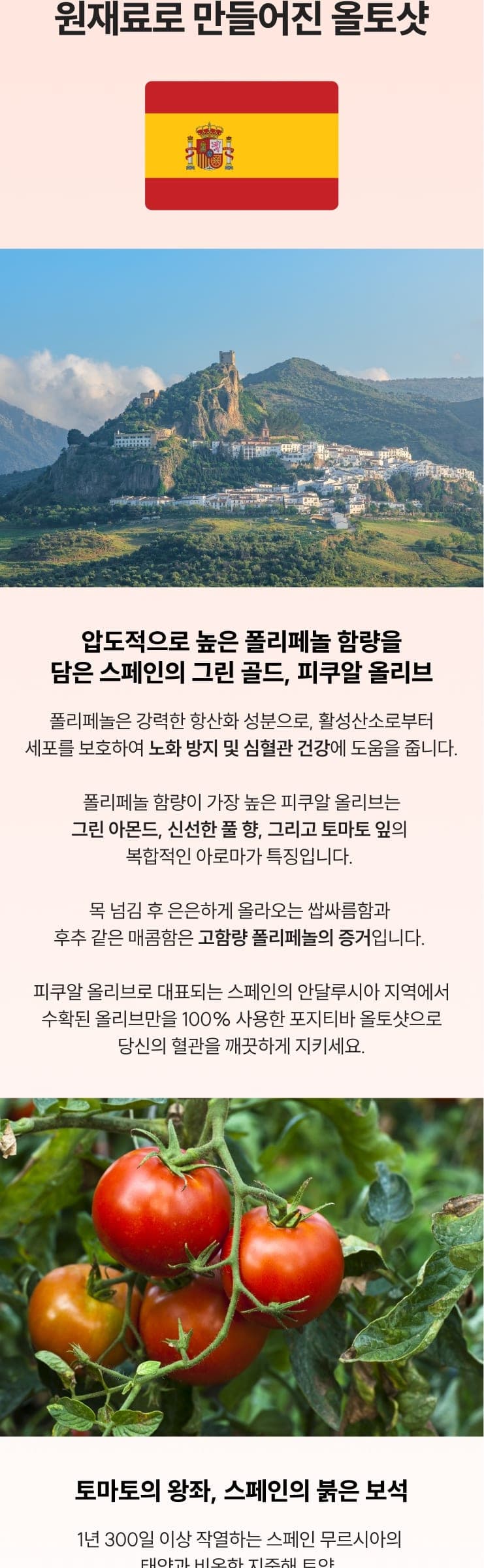 올토샷 상세 5